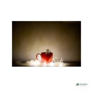 Branded Ceramic Coffee Mug (15oz)